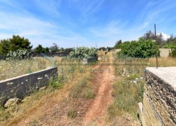 Terreno - Terreno agricolo Castrignano del Capo - foto 14