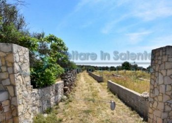 Terreno - Terreno agricolo Castrignano del Capo - foto 15