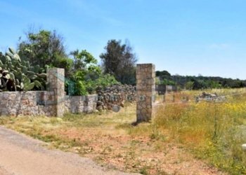 Terreno - Terreno agricolo Castrignano del Capo - foto 16