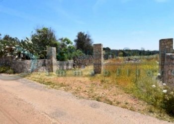 Terreno - Terreno agricolo Castrignano del Capo - foto 17