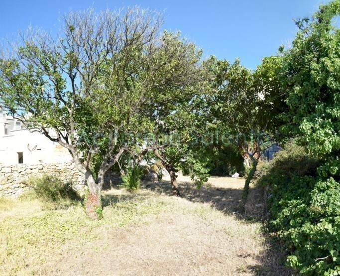 GIARDINO - Apartment Morciano di Leuca - photo 3