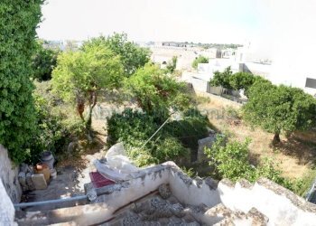 GIARDINO - Apartment Morciano di Leuca - photo 14