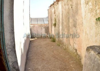 CORTILE - Appartamento Morciano di Leuca - foto 17