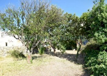GIARDINO - Appartamento Morciano di Leuca - foto 3