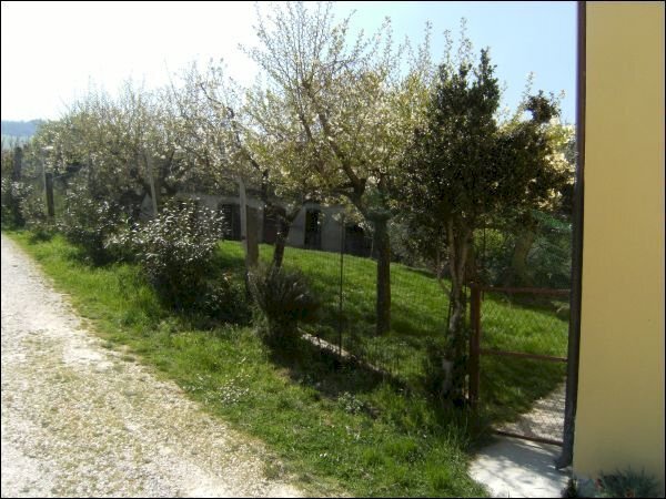 esterno - Casa indipendente selva camperseto 11, Staffolo - foto 3