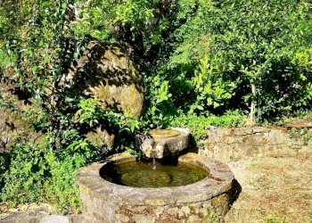 9RU.jpg - Casale Castelnuovo Magra - photo 8