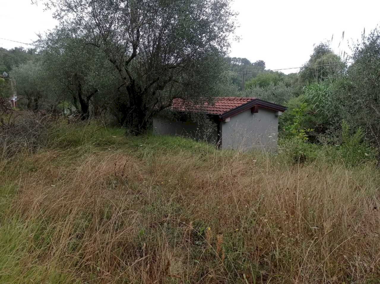 IMG-20210805-WA0008.jpg - Terreno agricolo Fosdinovo - foto 2