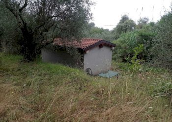 IMG-20210805-WA0007.jpg - Terreno agricolo Fosdinovo - foto 1