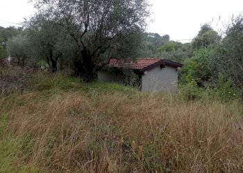 IMG-20210805-WA0008.jpg - Terreno agricolo Fosdinovo - foto 2