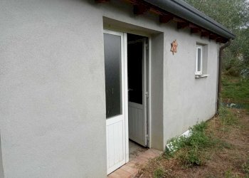 IMG-20210805-WA0006.jpg - Terreno agricolo Fosdinovo - foto 3