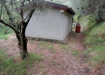 IMG-20210805-WA0009.jpg - Terreno agricolo Fosdinovo - foto 4