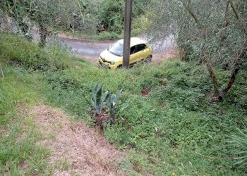 IMG-20210805-WA0012.jpg - Terreno agricolo Fosdinovo - foto 6