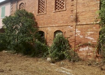 IMG_20210803_160903.jpg - Casale Via Tavolara 59, Castelnuovo Magra - photo 3