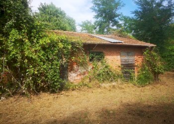 IMG_20210803_160909.jpg - Casale Via Tavolara 59, Castelnuovo Magra - photo 4