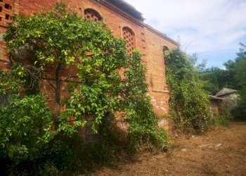 IMG_20210803_161014.jpg - Casale Via Tavolara 59, Castelnuovo Magra - photo 8