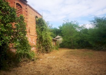 IMG_20210803_161016.jpg - Casale Via Tavolara 59, Castelnuovo Magra - photo 9