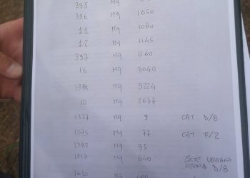 IMG_20210803_161202.jpg - Casale Via Tavolara 59, Castelnuovo Magra - photo 11