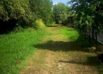 IMG_20210803_161553.jpg - Casale Via Tavolara 59, Castelnuovo Magra - photo 15