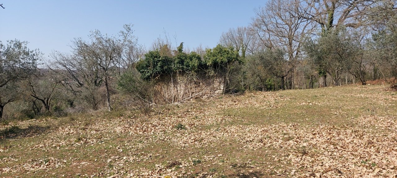 20220326_141454.jpg - Terreno agricolo Massa Martana - foto 1