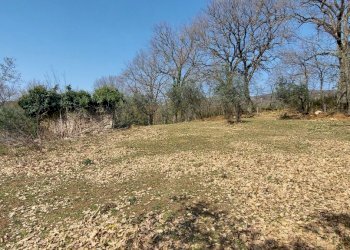 20220326_141514.jpg - Terreno agricolo Massa Martana - foto 8