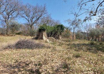 20220326_141636.jpg - Terreno agricolo Massa Martana - foto 12