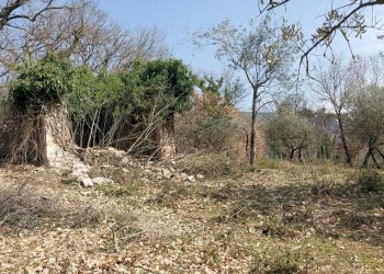 20220326_141647.jpg - Terreno agricolo Massa Martana - foto 13