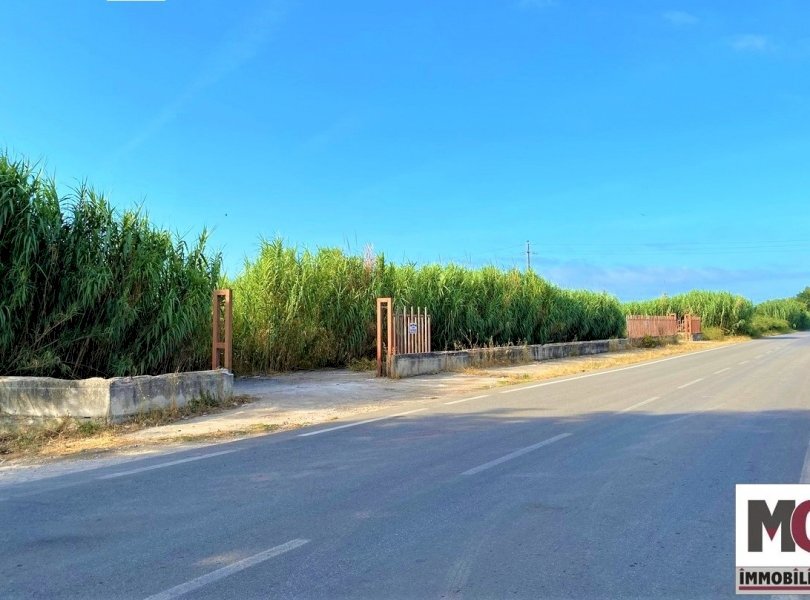 Agricultural land Mondragone - photo 1