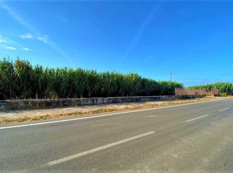 Agricultural land Mondragone - photo 2