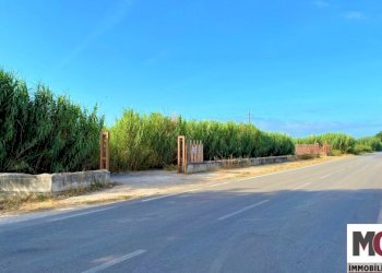 Agricultural land Mondragone - photo 1