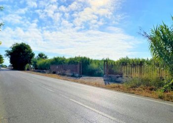 Agricultural land Mondragone - photo 4