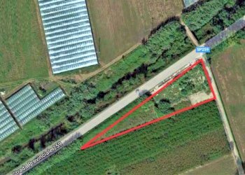 Agricultural land Mondragone - photo 5