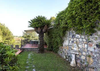 05 Terrazzo palma.jpg - Casa semi indipendente Ameglia - foto 16