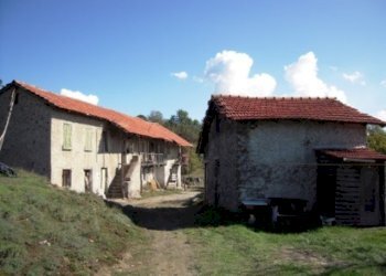 rir 59  9.jpg - Casale Giusvalla - foto 9