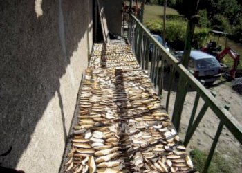 rir 59  20.jpg - Casale Giusvalla - foto 19