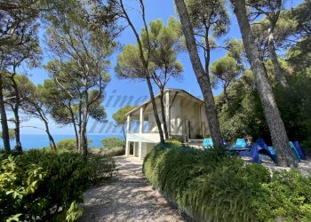 IMG_6862.JPG - Villa Via delle Rose, Rosignano Marittimo - foto 5