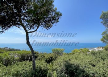 IMG_6868.JPG - Villa Via delle Rose, Rosignano Marittimo - foto 8