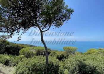 IMG_6869.JPG - Villa Via delle Rose, Rosignano Marittimo - foto 9