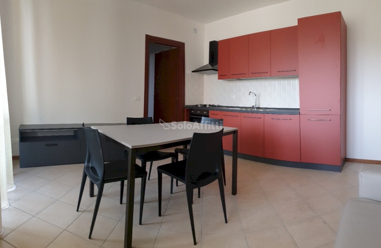 20210420_100851_resized.jpg - Two-room apartment Via Puglie 3, Legnago - photo 1