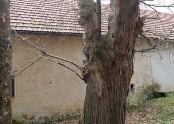 08-IMG_2387.JPG - Rustic Tiglieto - photo 6