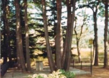 rif 101 6.jpg - Independent house Sassello - photo 7