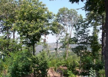 rif 101 15.JPG - Independent house Sassello - photo 16