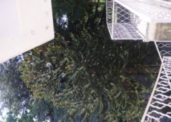 rif 101 16.JPG - Independent house Sassello - photo 17