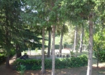 rif 101 17.JPG - Independent house Sassello - photo 18