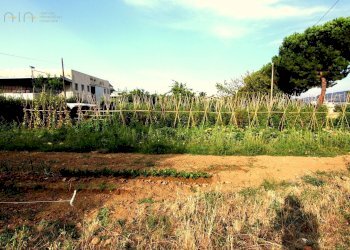 Casa indipendente traversa Aldo Moro, Monsampolo del Tronto - foto 7