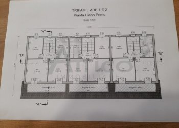 20210715_114510.jpg - Casa semi indipendente San Bellino RO, San Bellino - foto 5