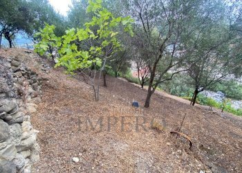 Independent house Corso della Repubblica, Camporosso - photo 9