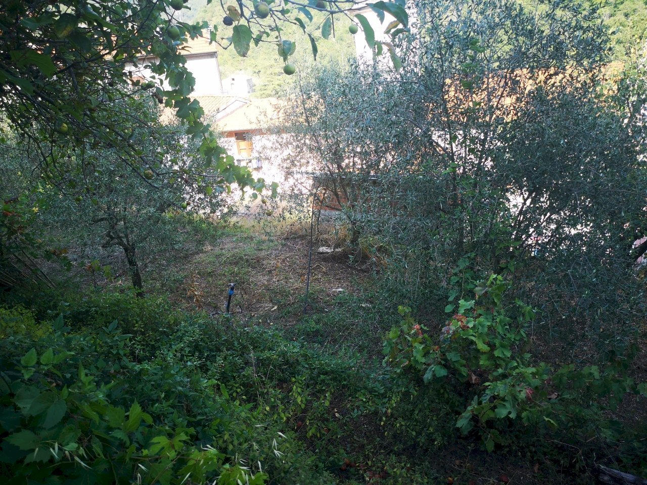 IMG_20210831_162623.jpg - Rustic Via Annunziata 2, Luni - photo 2