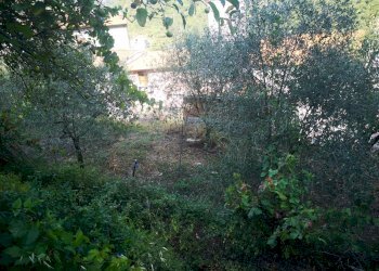 IMG_20210831_162623.jpg - Rustico Via Annunziata 2, Luni - foto 2