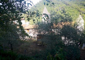 IMG_20210831_162625.jpg - Rustico Via Annunziata 2, Luni - foto 6