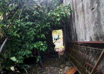 IMG_20210831_162940.jpg - Rustico Via Annunziata 2, Luni - foto 10